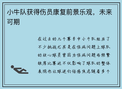 小牛队获得伤员康复前景乐观，未来可期