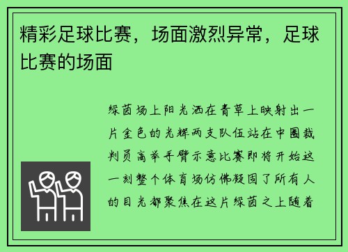 精彩足球比赛，场面激烈异常，足球比赛的场面